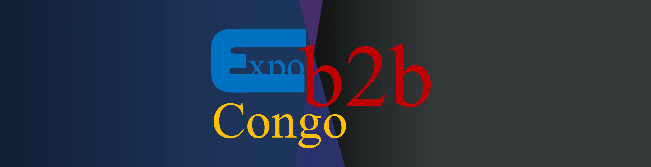 banner expob2b